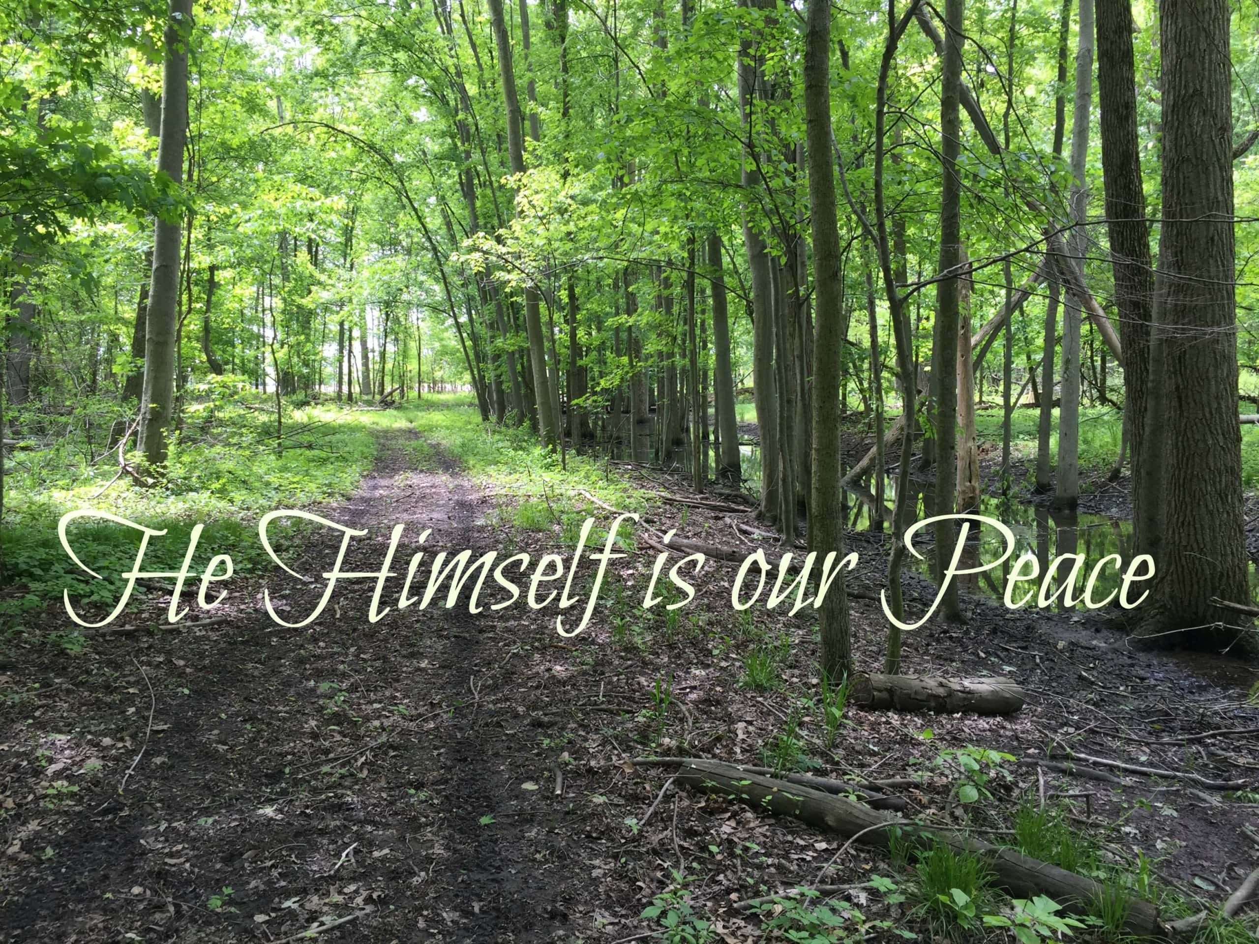 He is our Peace