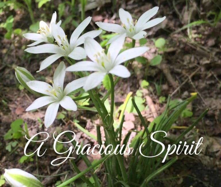 A Gracious Spirit